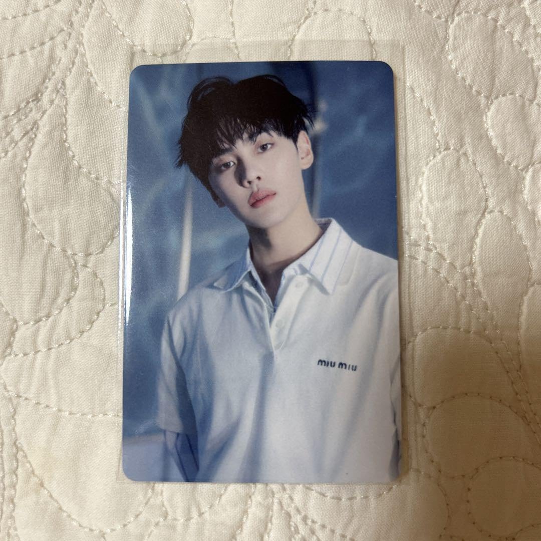 zb1 ギュビン 34枚セット