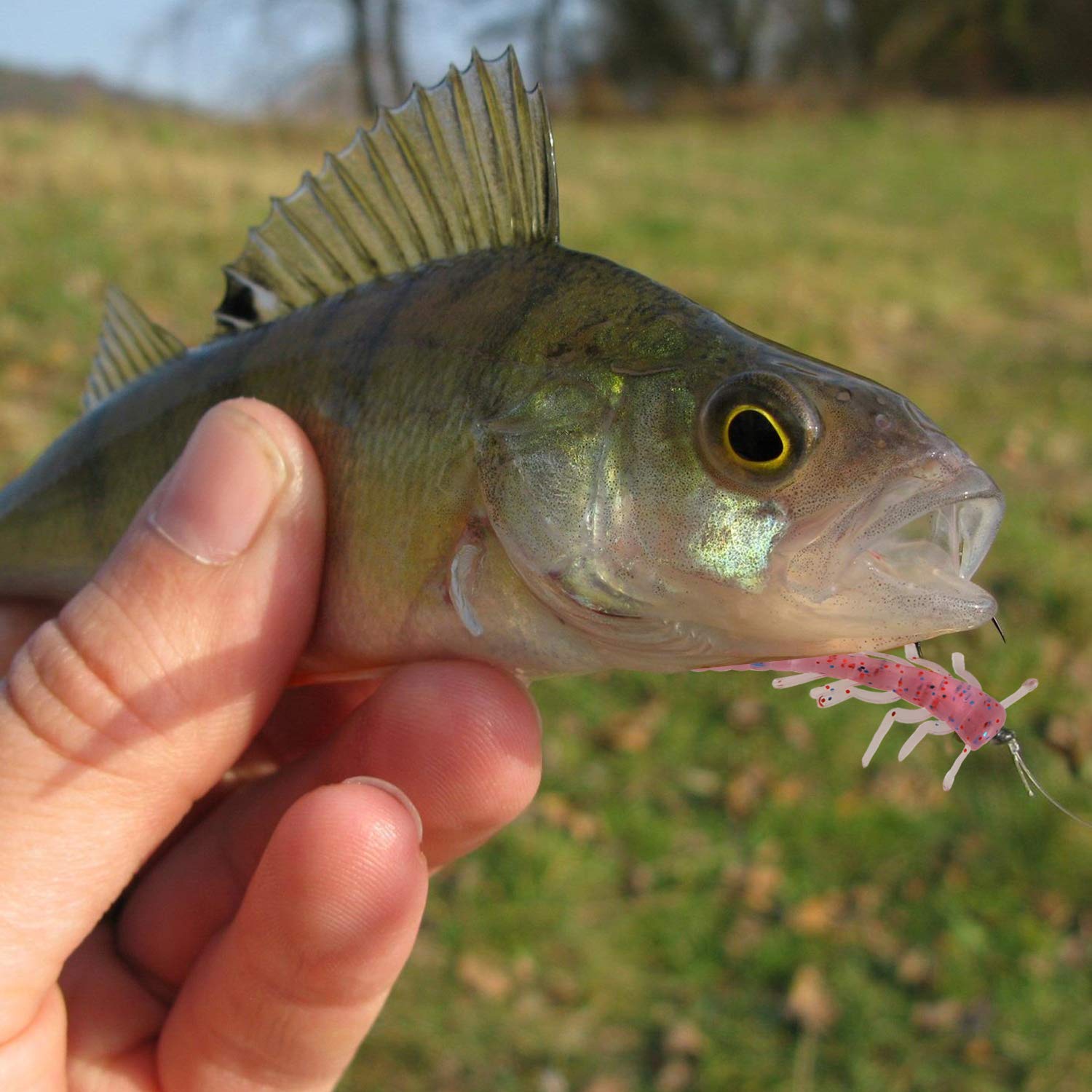 Fischköder Kunstköder Angelköder Fischen Köder Set Angelhaken Angelvorrichtungen, Sport Freizeit Angelwirbel