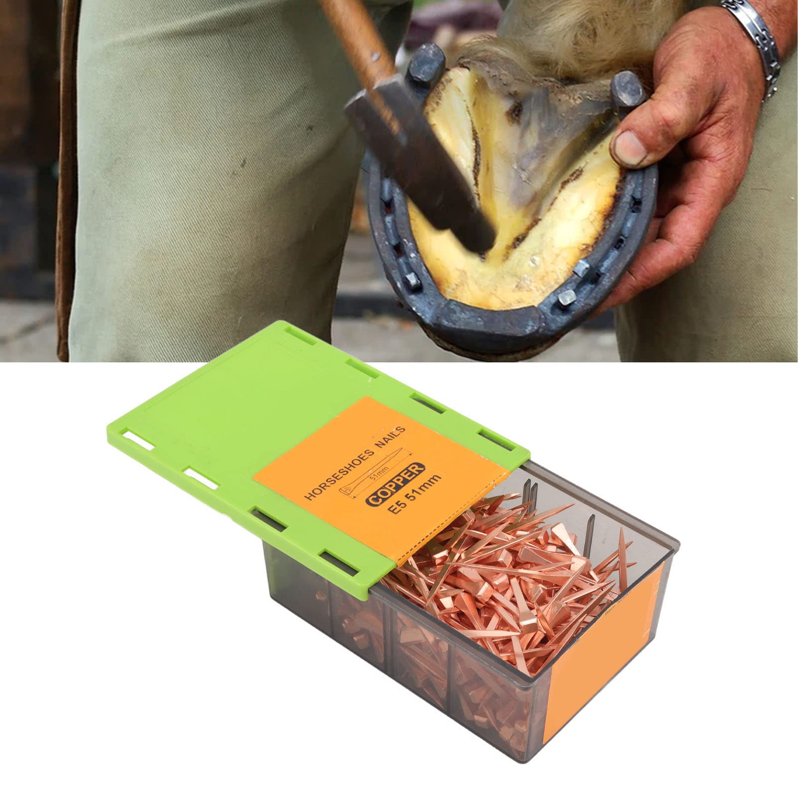 Haofy Clavos de Herradura de Acero, Uso Profesional de Herrador Chapado en Cobre, Suministros para Herradura de Alta Resistencia a la Tracción, 250 Piezas con Caja de Almacenamiento para Ganadería y