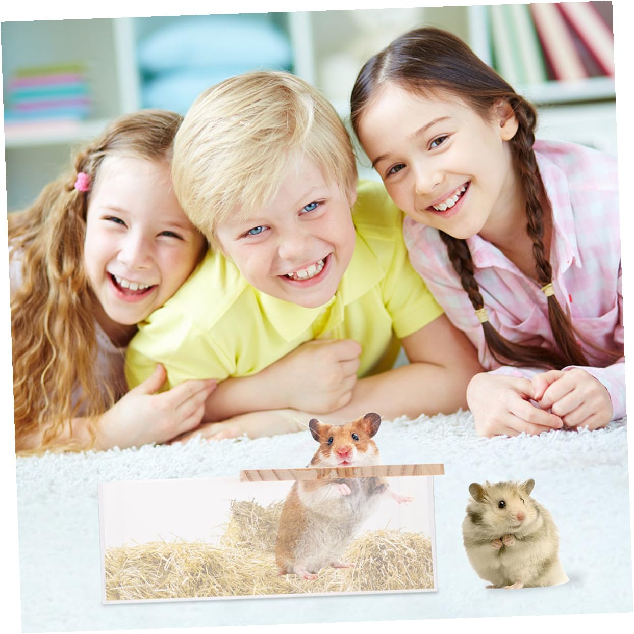 SHINEOFI Chinchilla Badewannen mit Glatter Oberfläche Durchsichtige 2 Stück aus Acryl Leicht und Robust für Hamster und Kleine Haustiere im Haushalt