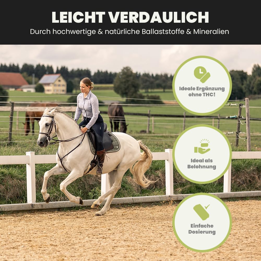 SANUUS PFERDESTARK Bio Hanf Pellets Pferdefutter getreidefrei Mineralfutter 10kg - Natürliche Premium Hanfkuchen Nahrungsergänzung für Pferdemüsli ohne Zucker mit Omega 3-6-9, Vitaminen & Eiweiß