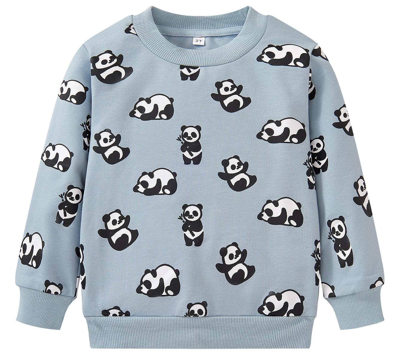 Akyzic Boys Sweatshirts Cotton Long Sleeve Crewneck Pullover Toddler Kids Winter Warm Shirt Sweater Tops 3t-8t