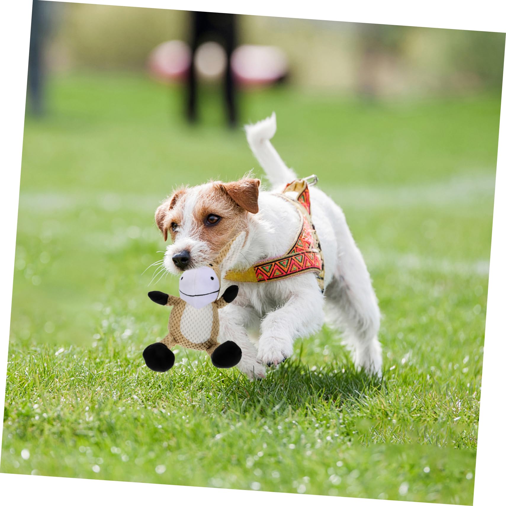 Sosoport 3pièces Squeaky Dog Toy Plush Interactive Puppy Teething Chew Toy Jouet Peluche pour Chiens Résistant Et Amusant pour Soulager Ennui Comportements Destructeurs