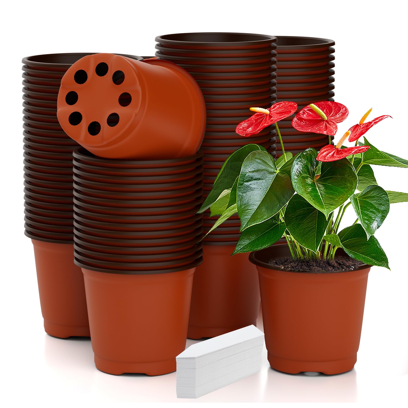 Macetas de vivero, 100 macetas de 6 pulgadas con 100 etiquetas, macetas de interior y exterior, macetas de vivero para plantas, macetas de plástico para plántulas, trasplante de plantas
