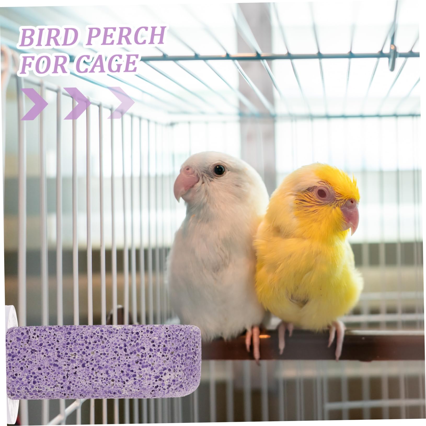 Yardwe 5stücke Bird Cage Mounted Perch Stand Für Vögel Paw Grinding Perch Für Wellensittiche Und Papageien Installieren Praktisch Und Vogelkäfig Zubehör Für Spiel Und