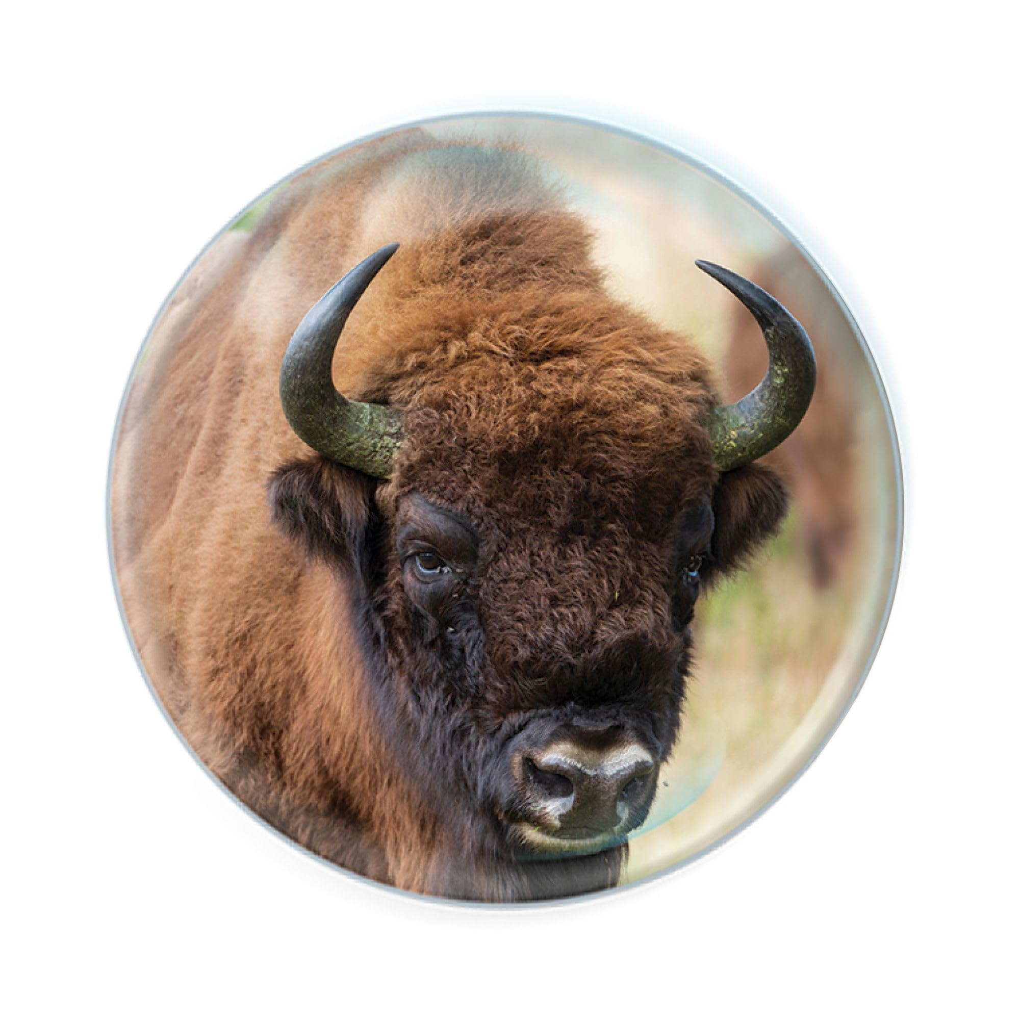 Deluxebase Magnidome Bison Fridge Magnet. Crystal Glass Dome Animal Magnet, Strong Decorative Magnet for Kitchen Accessories, Novelty Gifts and Cute Office and Home Decor.