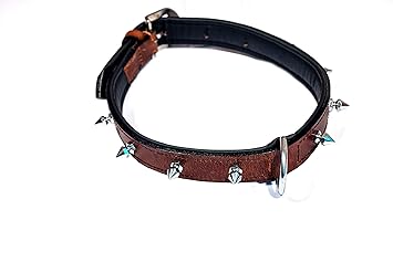 Tame Love Leather Spike Collar Medium Dog Show Pinch Collar (Brown Color)