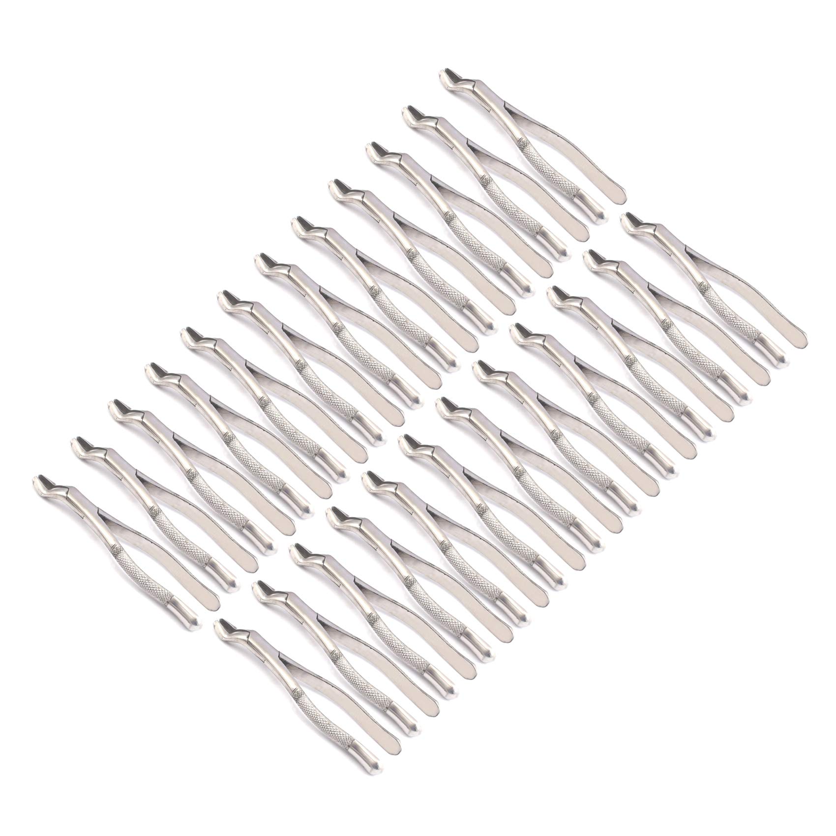 OdontoMed2011 Set Of 24 Dental Extracting Forceps 53L Dental Extraction Instruments ODM