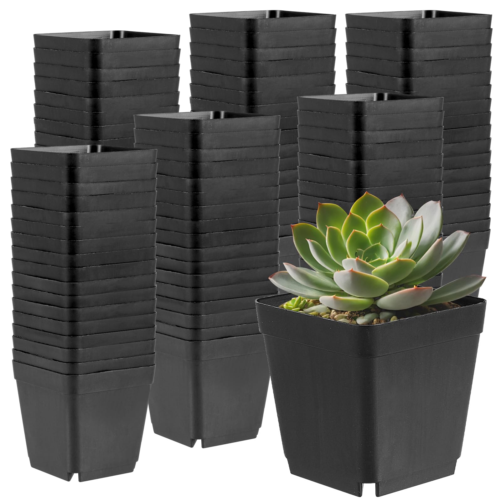 MAHIONG 150PCS 4 Inch Square Nursery Plant Pots, Plastic Plant Seedling Pots with Drainage Holes, Black Plant Seedling Pots for Starting Seedlings or Garden Plant