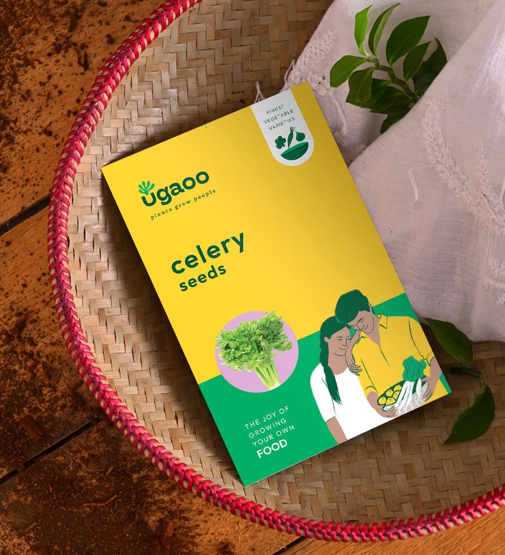 UGAOO Celery Vegetable Seeds (Green, Pack of 2g)