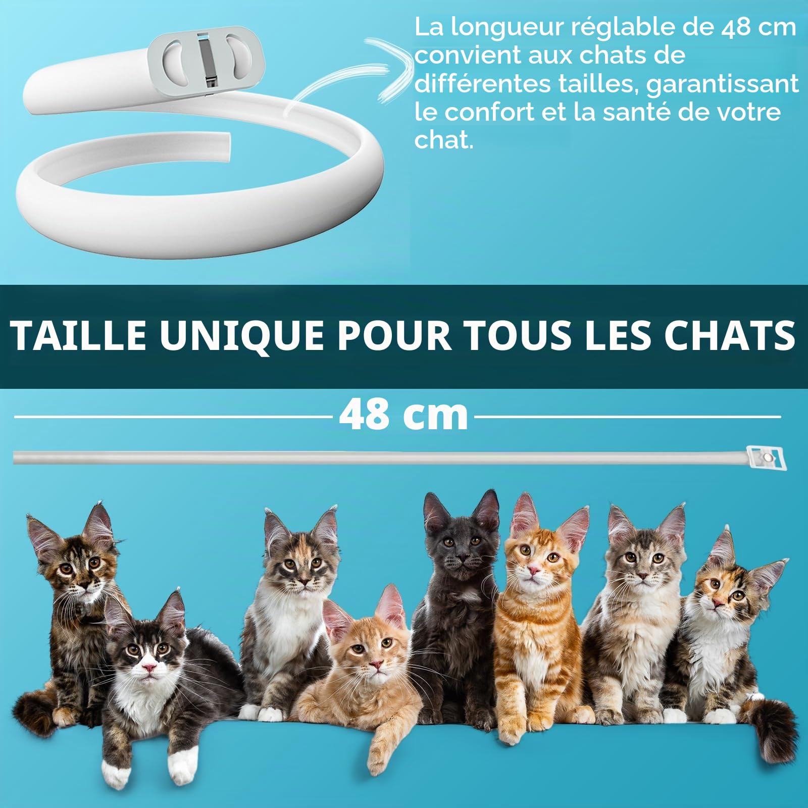 Collier de Puce pour Chats, Collier Anti Puces pour Chat avec Une Protection Efficace de 10 Mois, Traitement aux Puces Chat, Imperméable, Réglable, pour Les Chatons de Gros Chats (4 Pack)