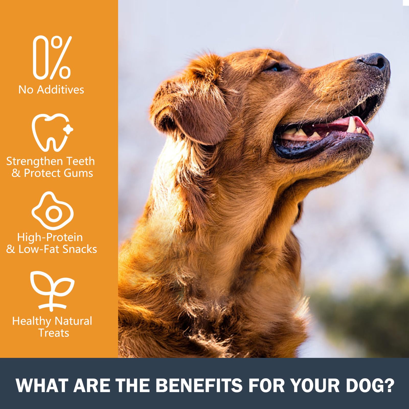 Xuehao Juguete de dentición de hueso de rótula para perros, dental de larga duración, para perros pequeños, medianos y grandes