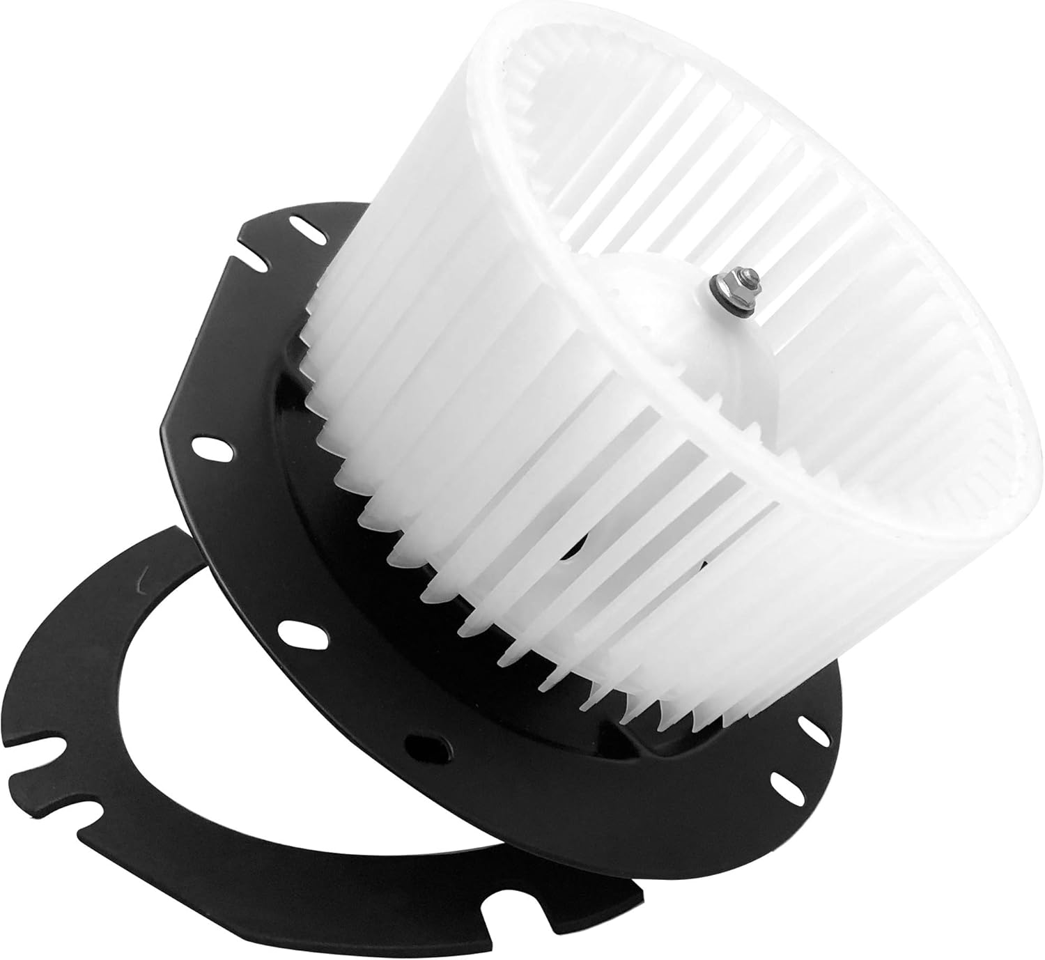 700019 HVAC Heater Blower Motor Assembly with Fan Cage for Ford Explorer 1995-2001 Explorer Sport Trac 2001-2005 Ranger 1998-2011 Mercury Mountaineer 1997-2001, FO3126107 XL2Z19805EA