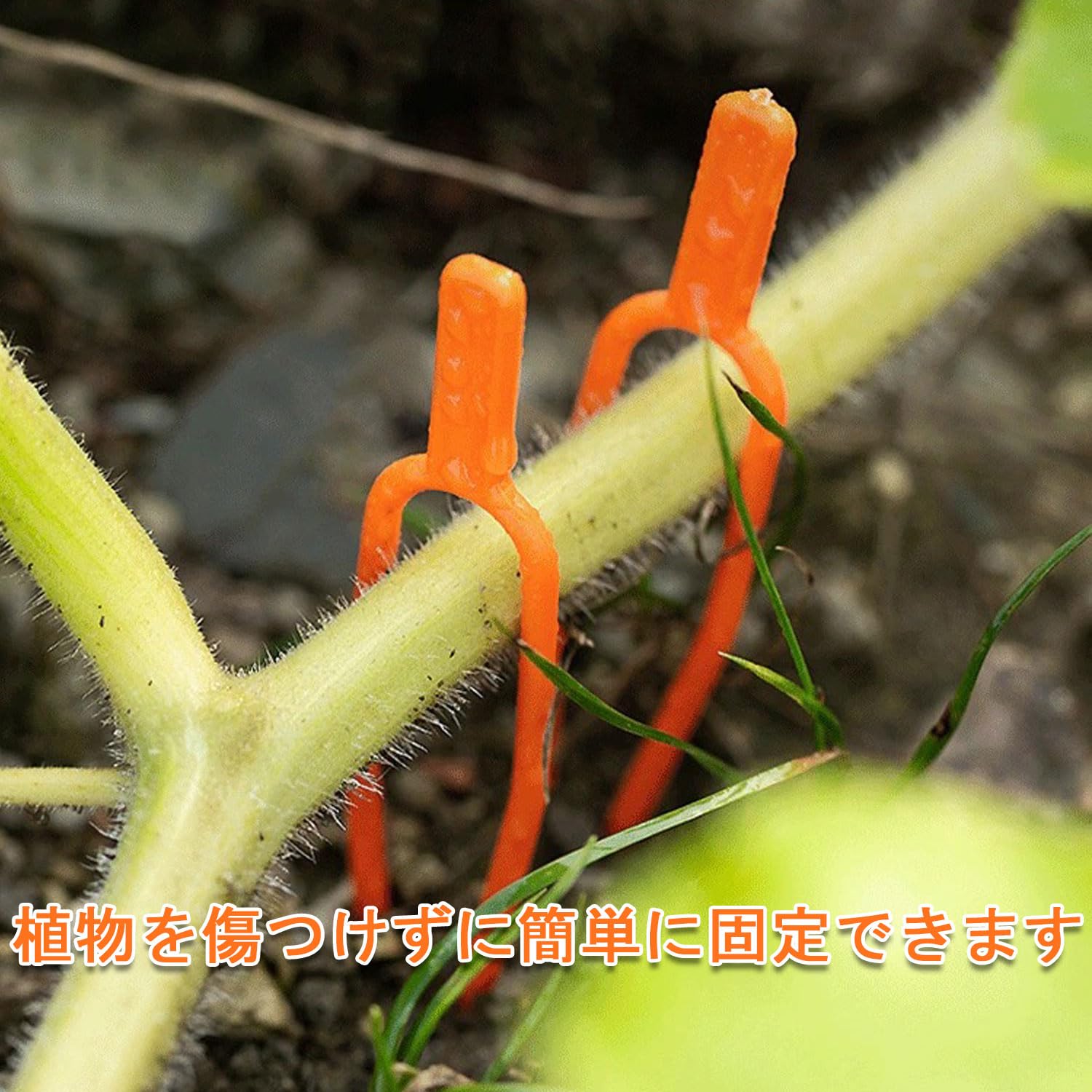 Amazon | 園芸クリップ（80個入り）ランナーピン イチゴランナーピン