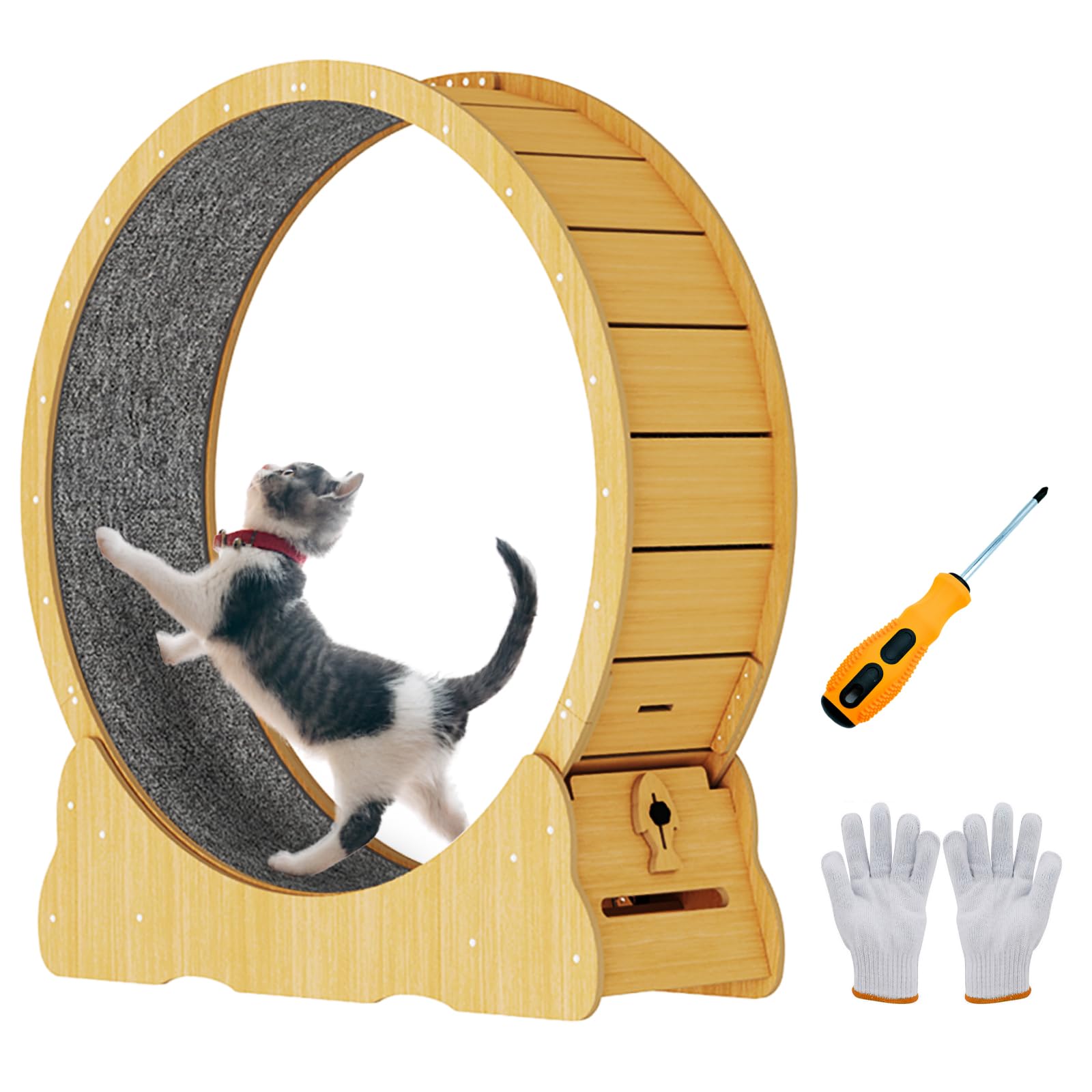 Amazon | Ciaobot キャットホイール 猫用 組み立て式 直径 90cm～130cm 