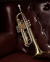 Vista 8 de Eastar ETR-390 Trompeta plana estándar B para principiantes intermedios, instrumento de trompeta mejorado avanzado con estuche rígido, kit