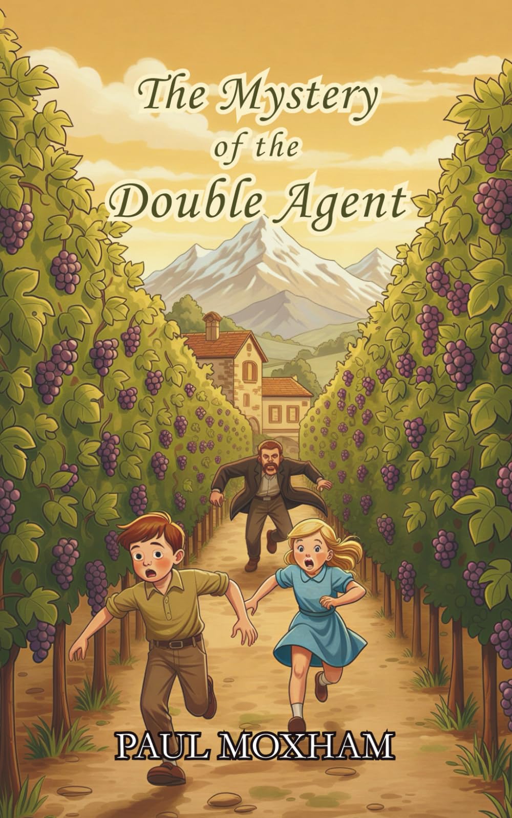 The Mystery of the Double Agent: 17 (The Mystery Series)