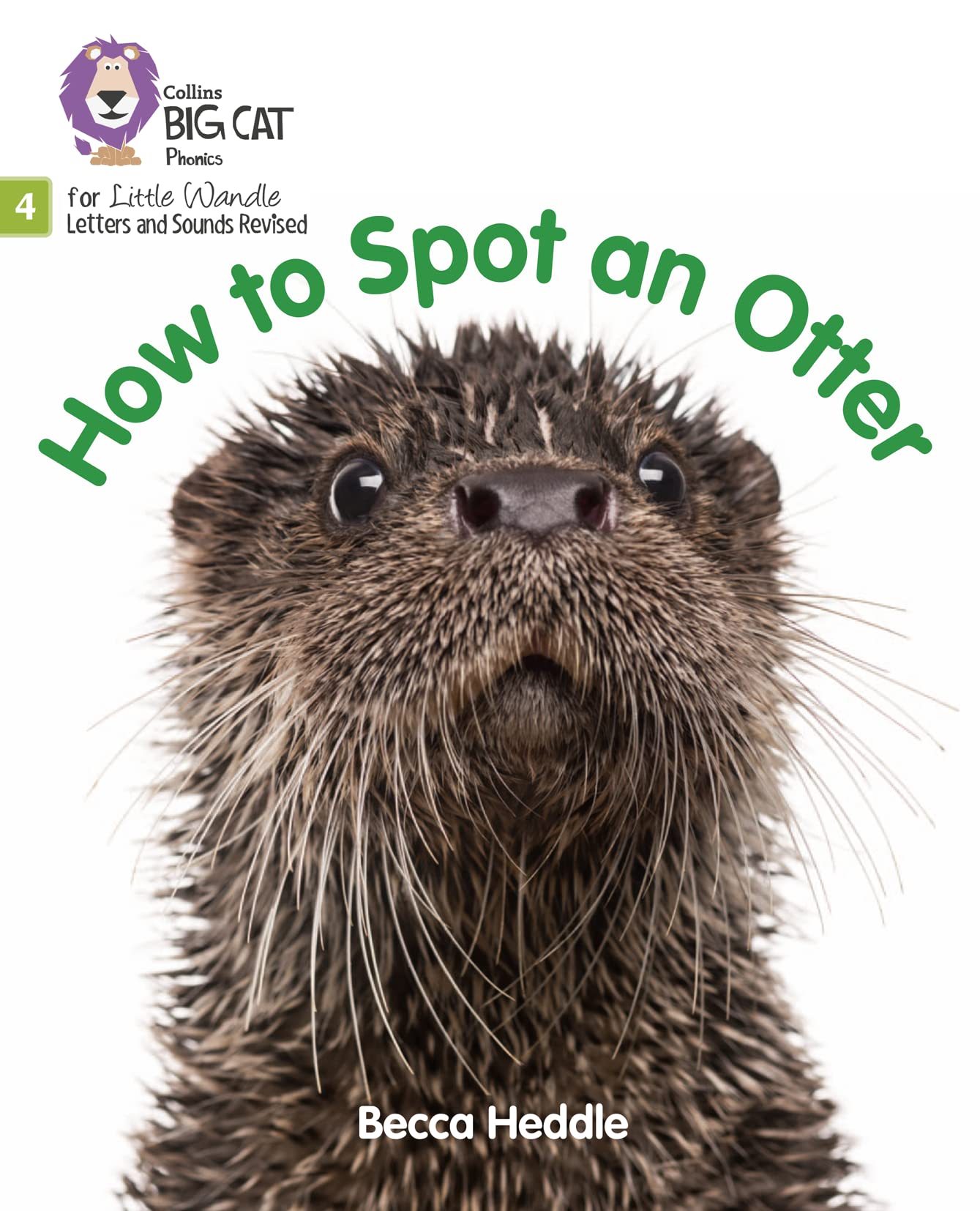 BIG CAT LW L&S _SPOT OTTER Phase 4 Set 2 by Becca Heddle (Paperback Book)