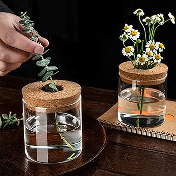 とも zx 50cc 原付バイク紹介・モトブロガーおすすめヤンキースタイル