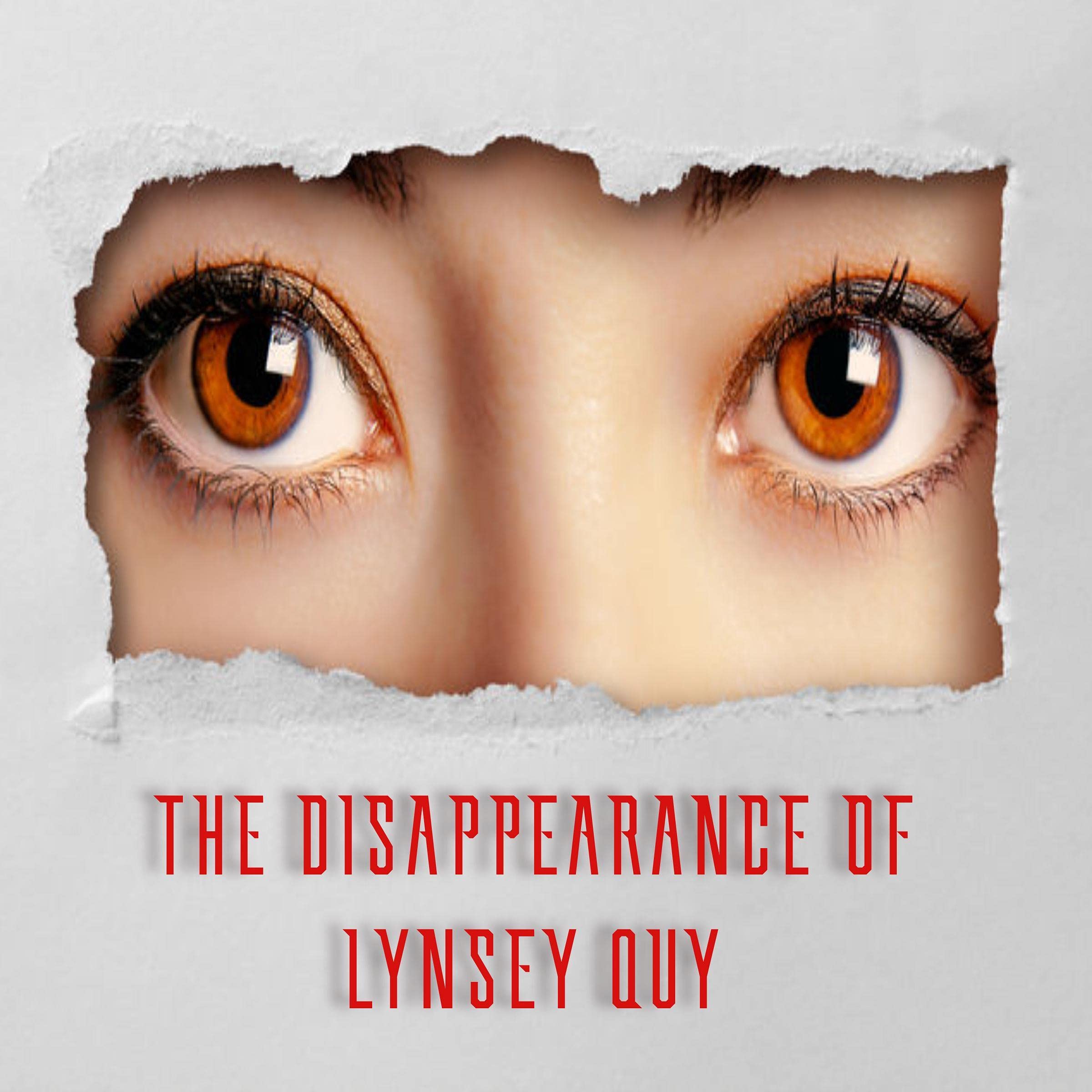 The Disappearance of Lynsey Quy
