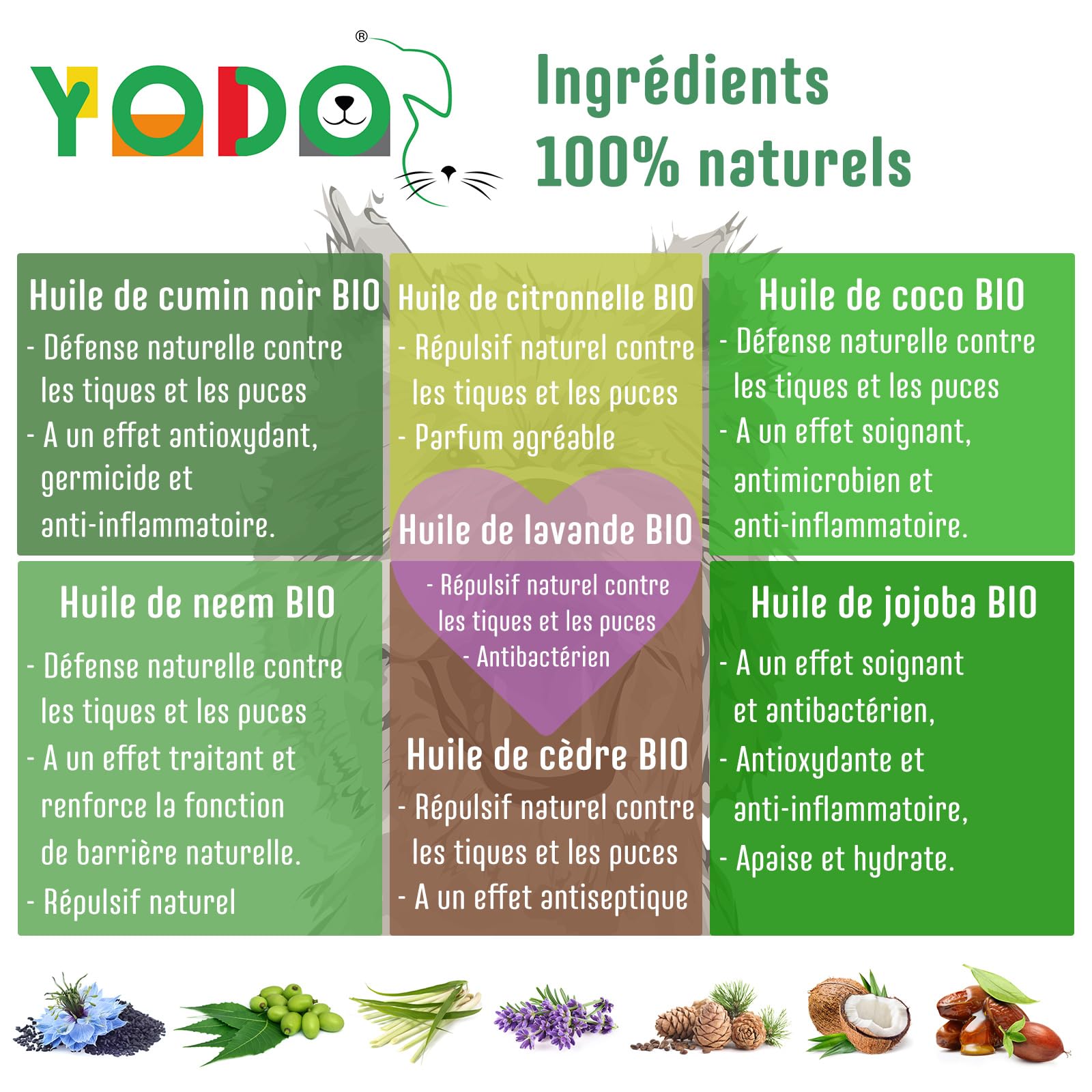YODO’s Zeckenschreck, Protection 100% Naturelle Contre Les tiques, Huile Anti-tiques pour Chiens et Chats fabriquée à partir de 7 huiles Bio de Haute qualité, 2500 Gouttes 100ml Flacon à Pipette