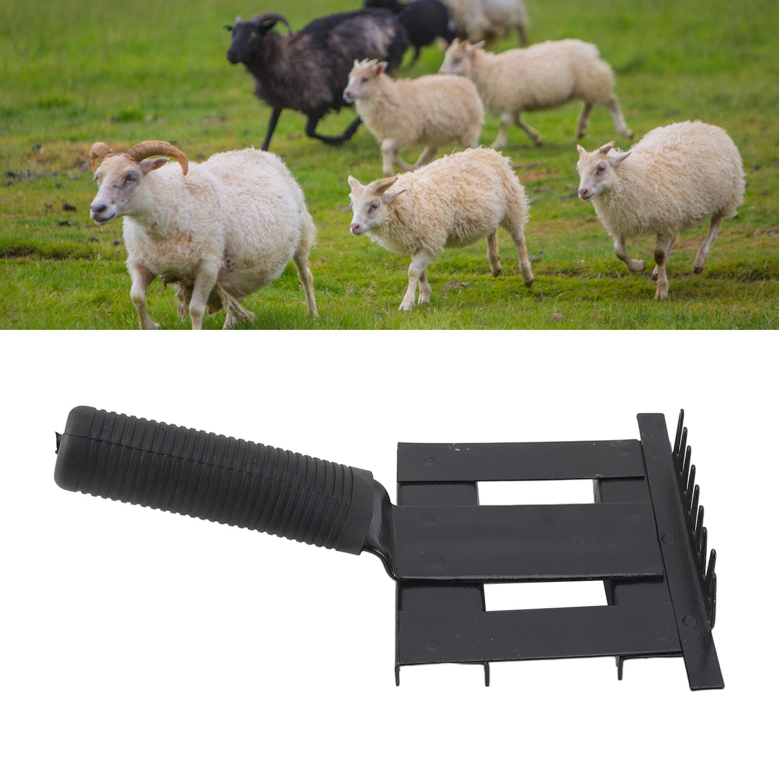 Ifundum Metall-Pflegekamm Für Pferde & Nutztiere – 27 Cm, Stahldraht, Rutschfester Griff – Zum Entfernen Loser Haare, Nass & Trocken Ifundum Metall-Pflegekamm Für Pferde & Nutztiere – 27 Cm, Stahldraht, Rutschfester Griff – Zum Entfernen Loser Haare, Nass & Trocken
