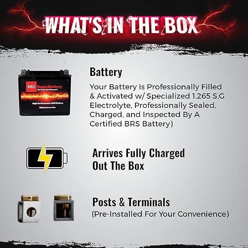 Miniatura 6 de BRS14AH-BS Batería AGM de alto rendimiento para ATV, motocicletas, motos de nieve, etc. Diseño sellado a prueba de derrames, sin mantenimiento,