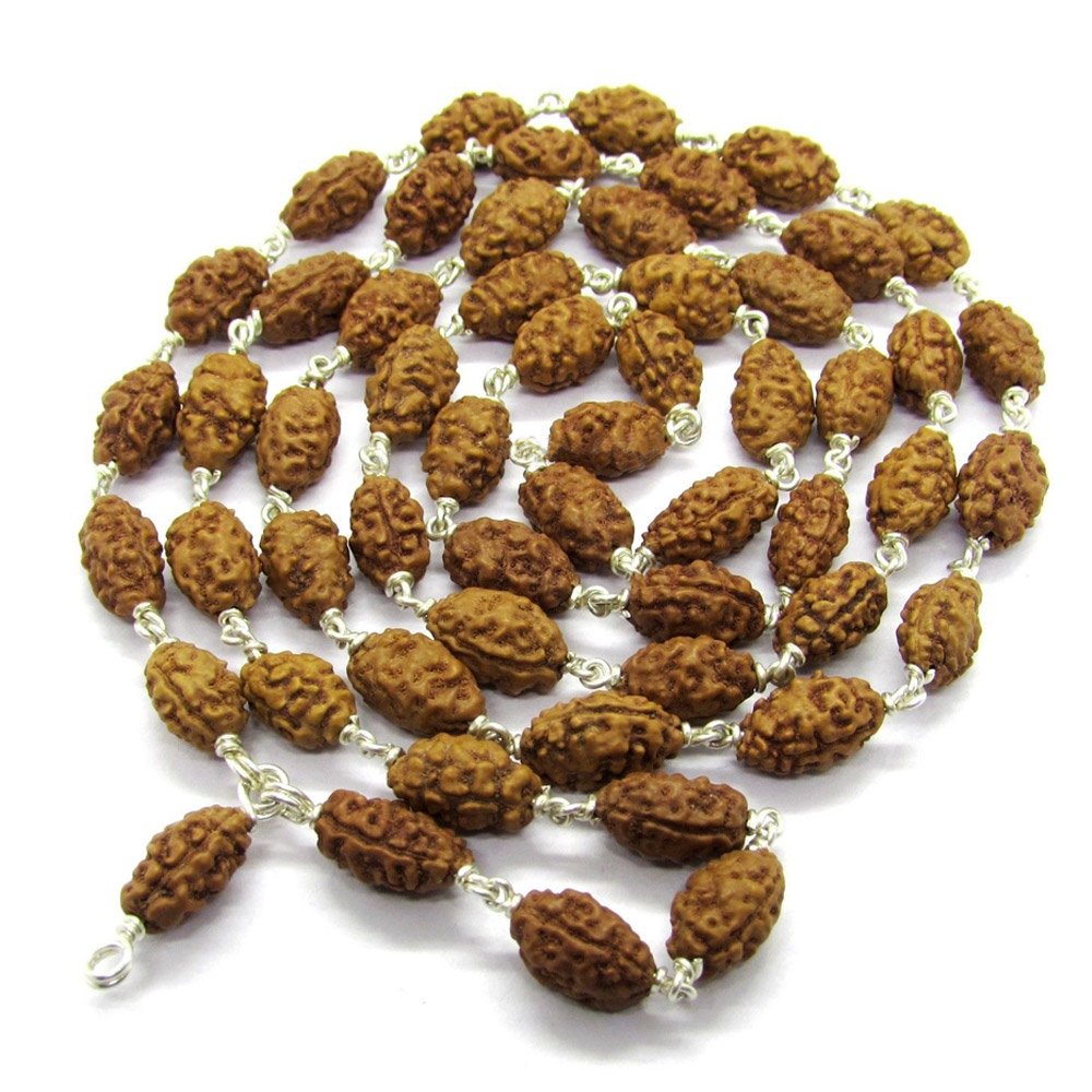 2 Mukhi Rudraksha Mala 54 Beads in Silver | Two Faced | Moon Rudraksha Mala | 7mm-9mm