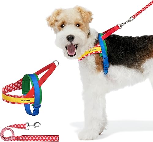 VETRESKA Arnés sin tirones para perros pequeños, juego de arnés y correa para perro fácil de caminar, arnés para cachorros para caminar y entrenar,