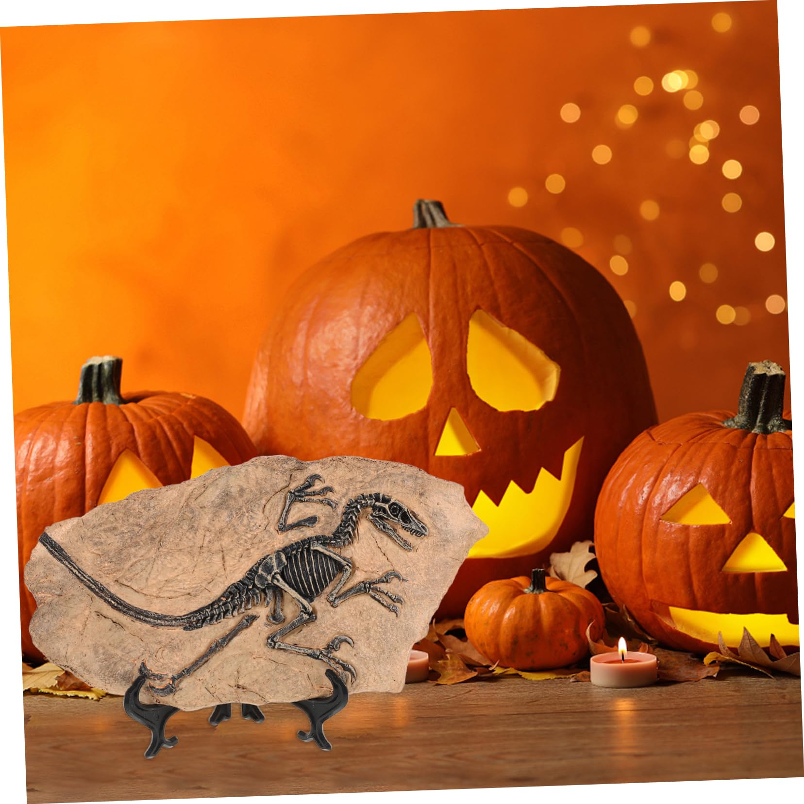 Set Di Ornamenti Fossili Di Dinosauro Di Fossili Di Dinosauro Decorazione Esemplare Per Casa Ufficio