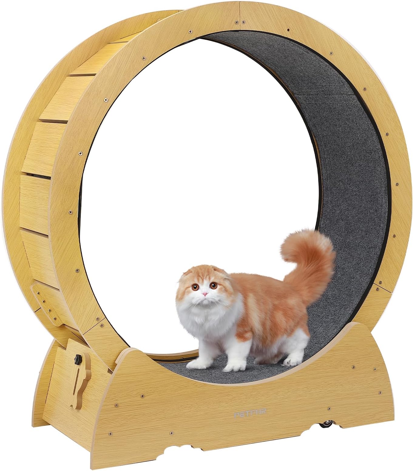 Amazon キャットホイール PETPNR 猫 回し車 キャットローラー 猫用トレッドミルを安全にアップグレード 猫 運動不足解消 猫 ランニングホイールベルト厚交換可能猫 爪とぎ 静音