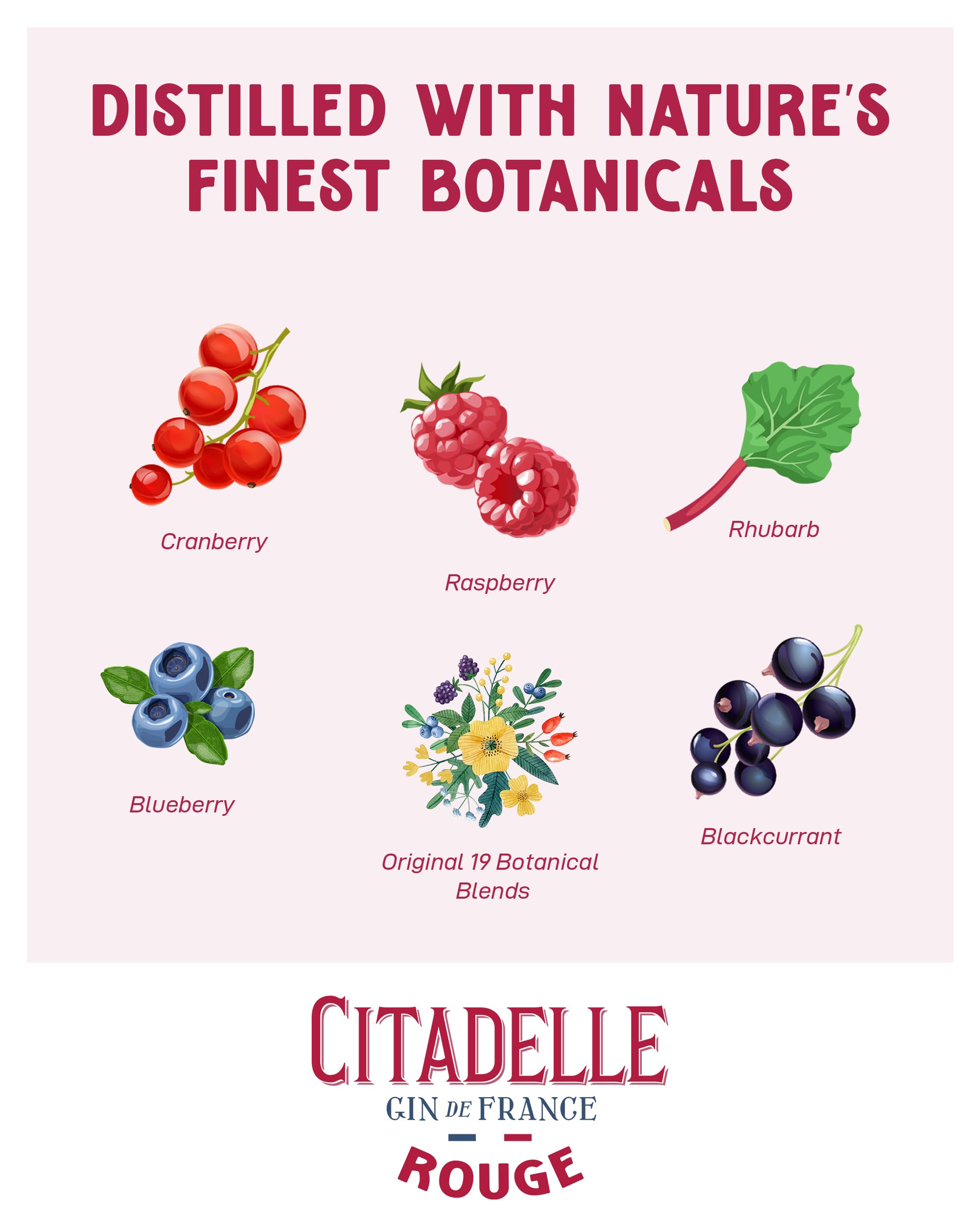Citadelle, Gin Rouge, 700ml, Ideale per Gin Tonic Fruttato, Note di Frutti Rossi, Dolci e Piccanti, 24 Botaniche, Gin Artigianale Francese Distillato in Alambicco Tradizionale, Idea Regalo, 41,7% Vol.
