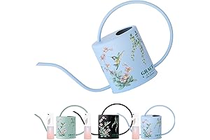 Gracefully Designed Watering Can for indoor plants