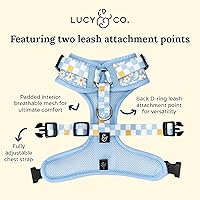 Vista 24 de Lucy & Co. Arnés para perro Midnight No-Pull – Talla M – Chaleco para dejar de tirar y caminar fácil – Cómodo producto de entrenamiento de correa