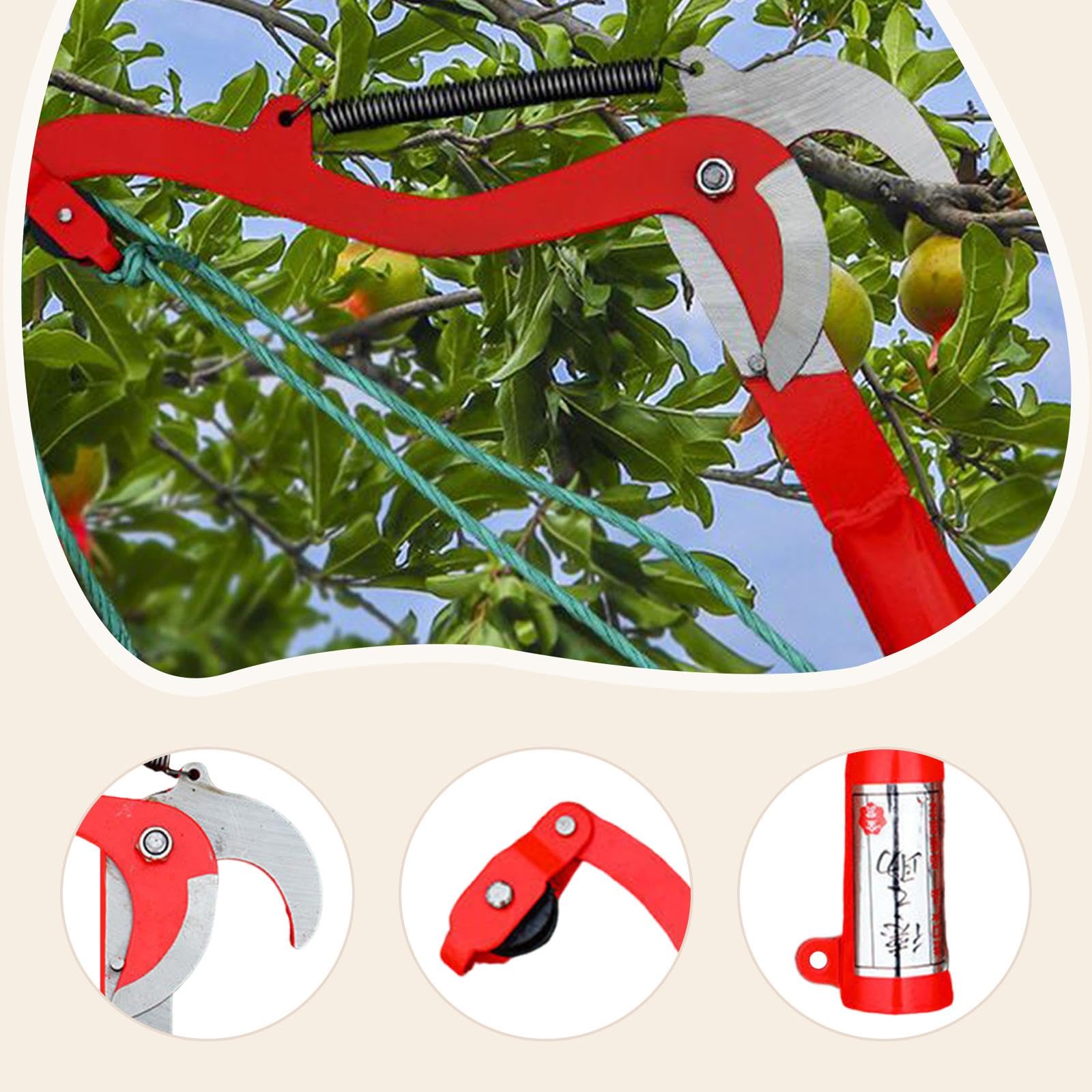 F Fityle Coupe-branches hautes sans accessoires de perche Économie d'énergie pour de branches hautes avec ressort en acier Corde de 1,5 m, Size S