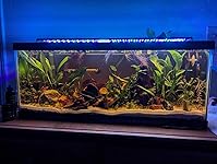 Review Image by Ashley Ashley