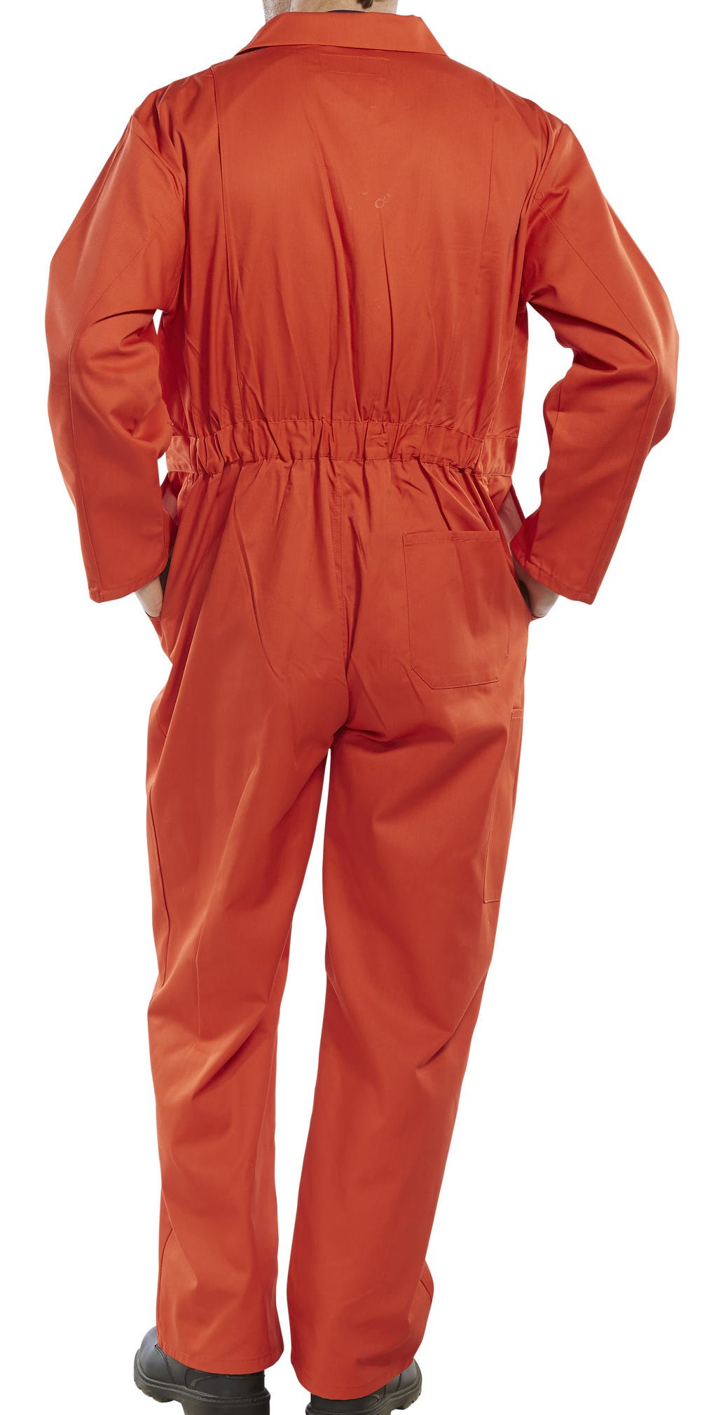 KOCIEC CLICK pomarańczowy 36