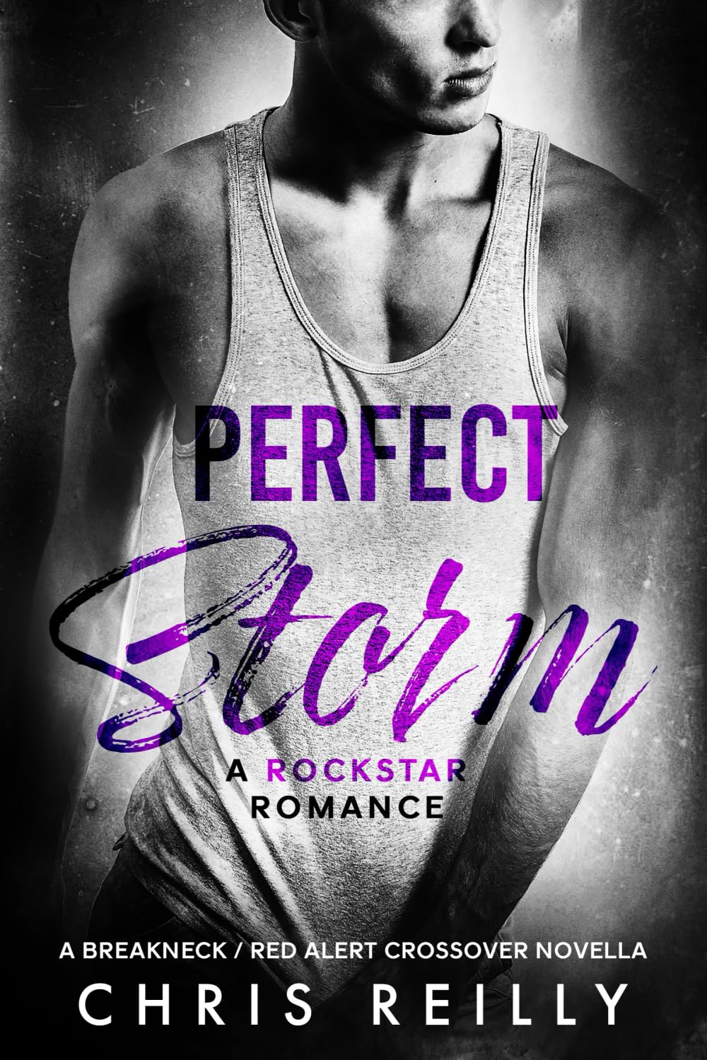 Perfect Storm (BreakNeck Rockstar Romance Series)