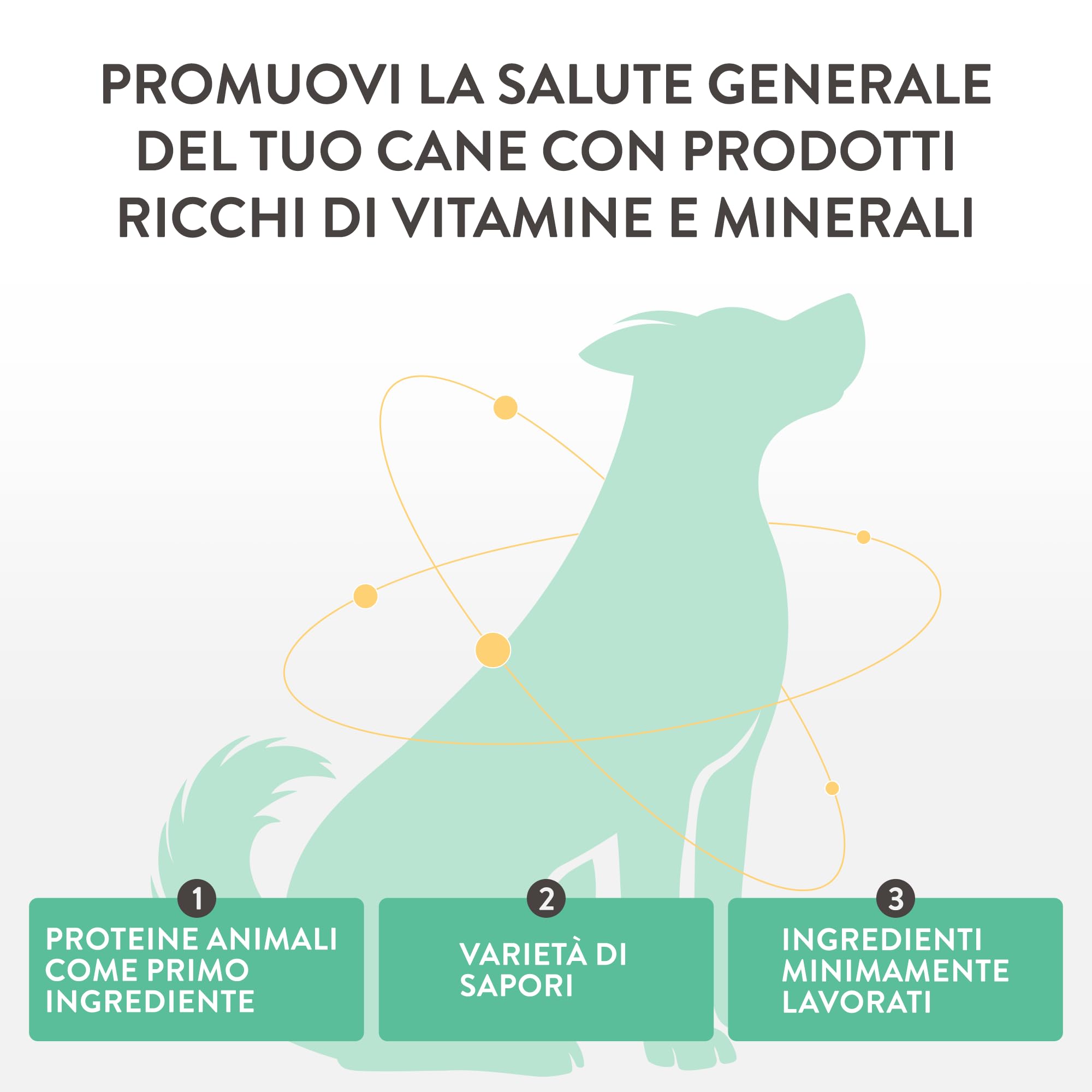 Schesir Taste The World Agnello con Cous Cous 8X150g