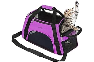 JMOON Cat Carrier – The Purrfect Travel Companion in Vibrant Purple