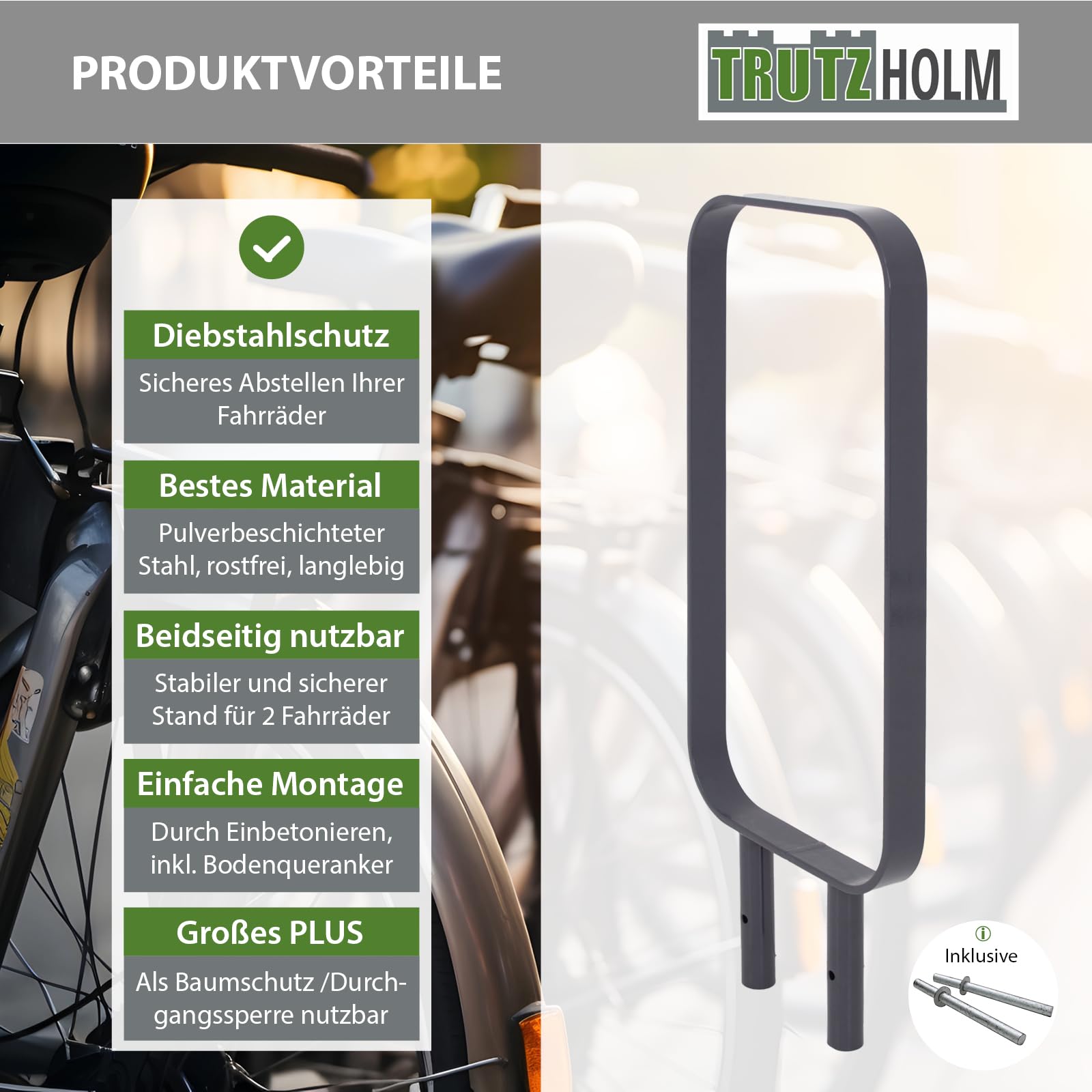 TRUTZHOLM Fahrradanlehnbügel 115x45 cm Einbetonieren Flachstahl Anthrazit