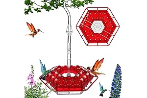 Sherem Hummingbird Feeder: The Ultimate Hummingbird Oasis