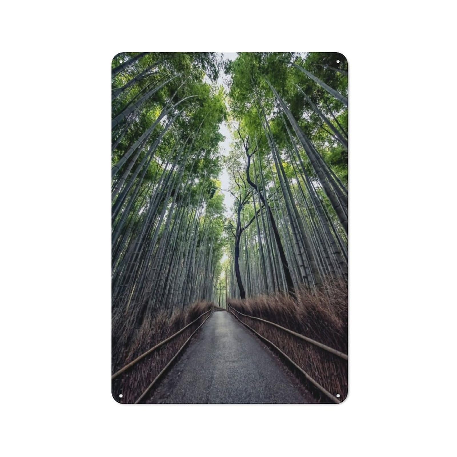 Junmoney Path In The Bamboo Garden Style Tin Sign 30X20cm Featuring Shed Wall Decor For Patio Bar, Workshop, Shed Or Kitchen