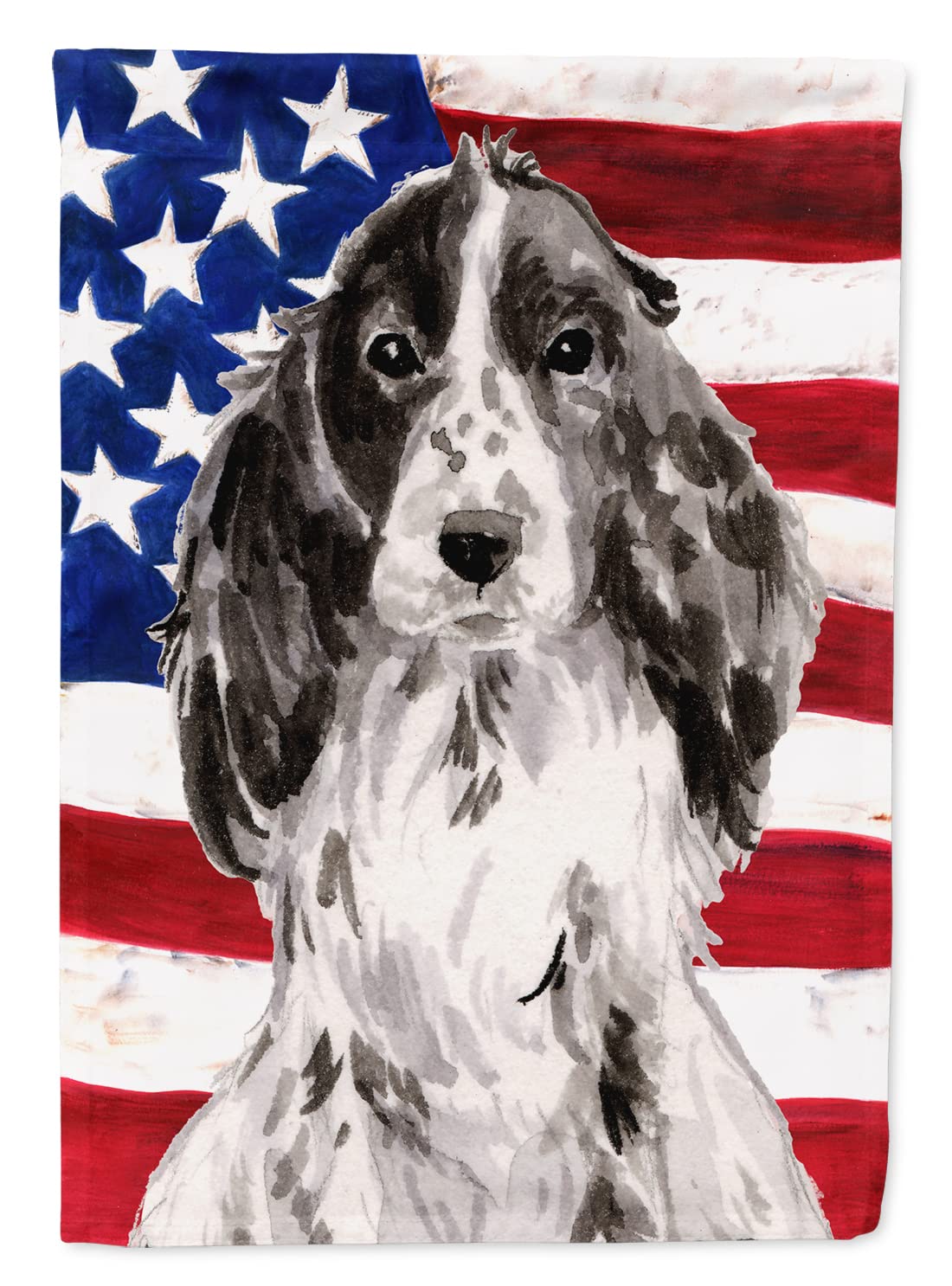 Drapeau de jardin Black Parti Patriotic Flag Caroline's Treasures petit format multicolore