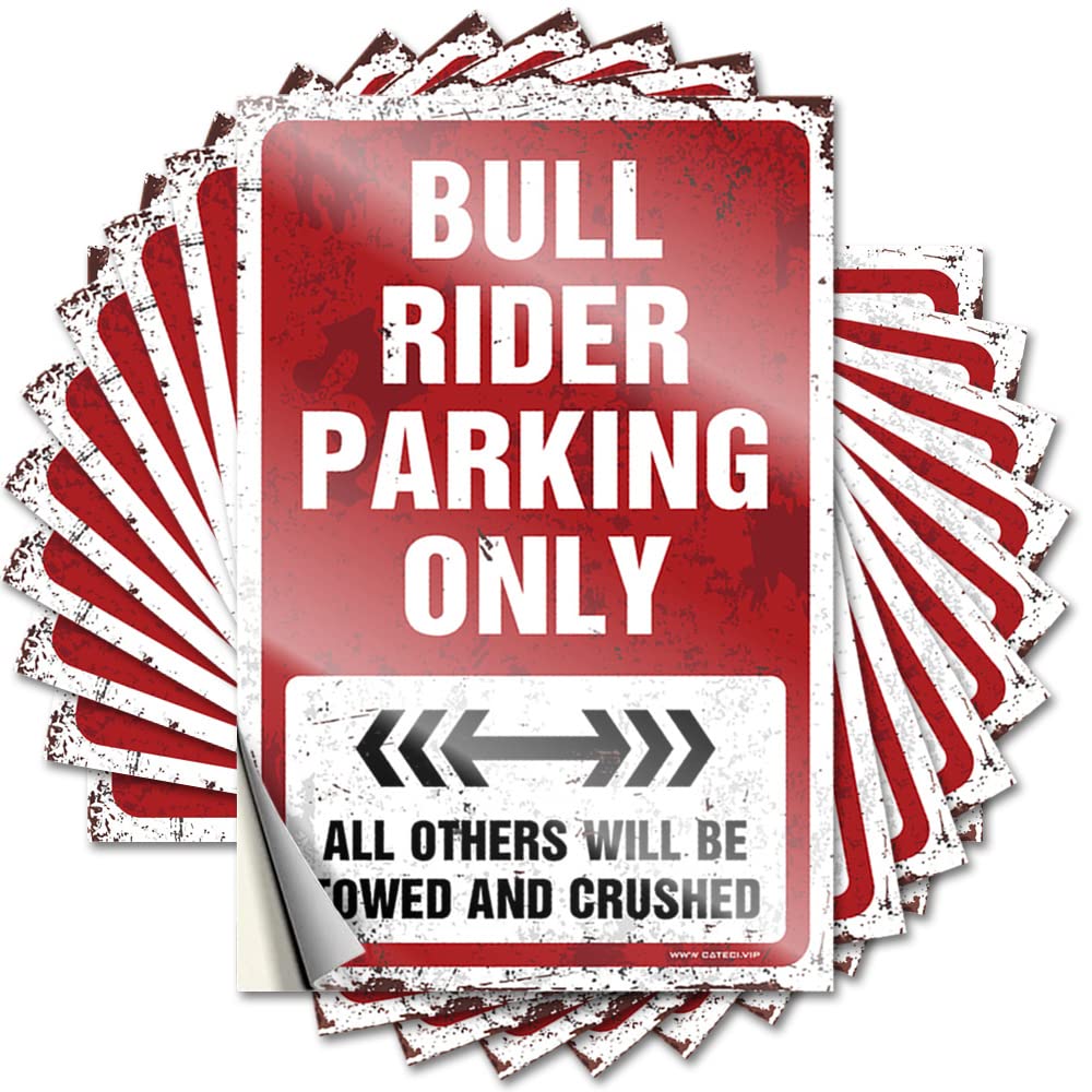 Winter Tattoos - Cute Girl Tumbler Bull Rider Parking Only(8X12CM)