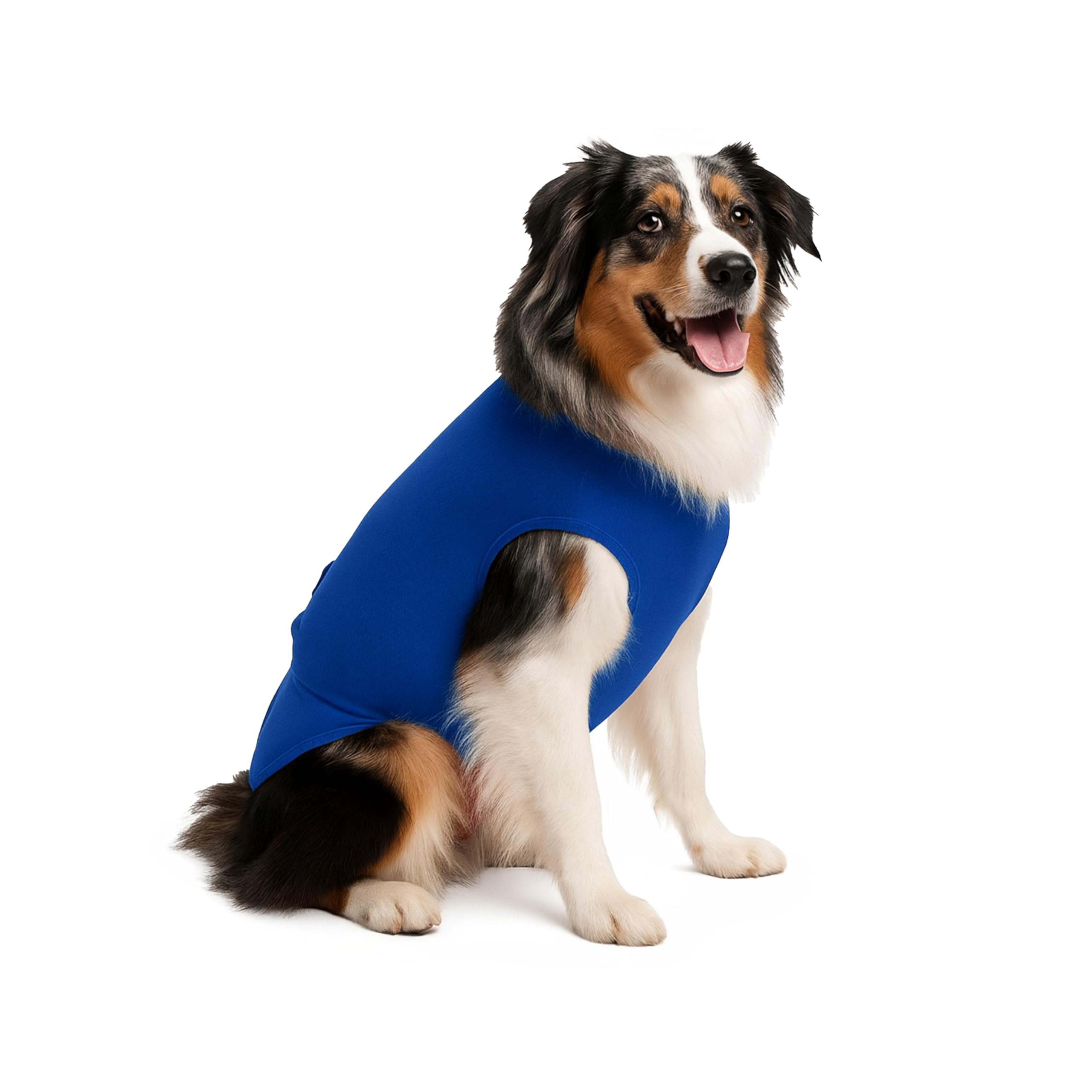 1 pañal azul grande lavable para perro – macho y hembra – añada pañales desechables a tus perros - INESCAPABLE-azul - LL - DK