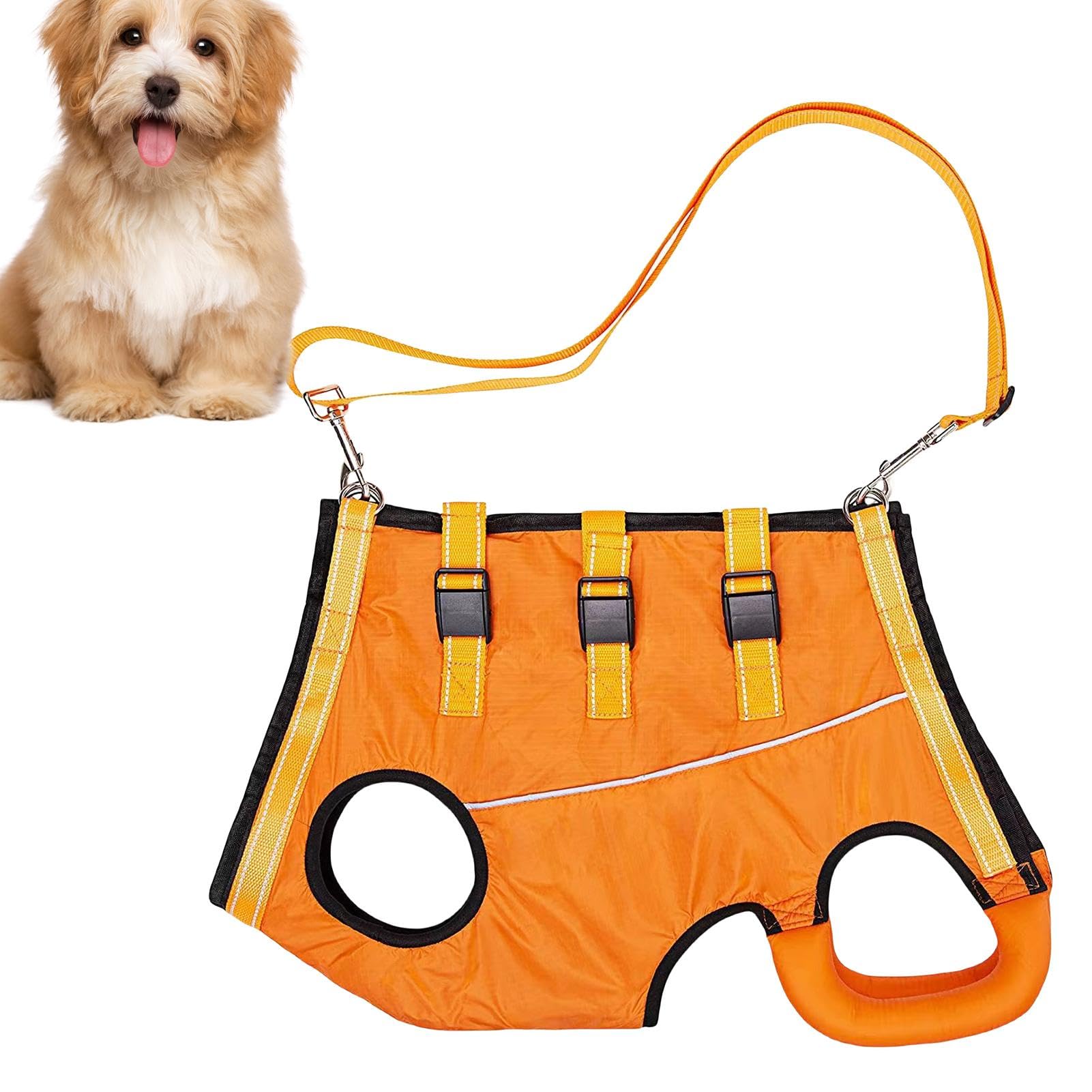 Dog Harness Canine Party Accessories, Pet Supplies