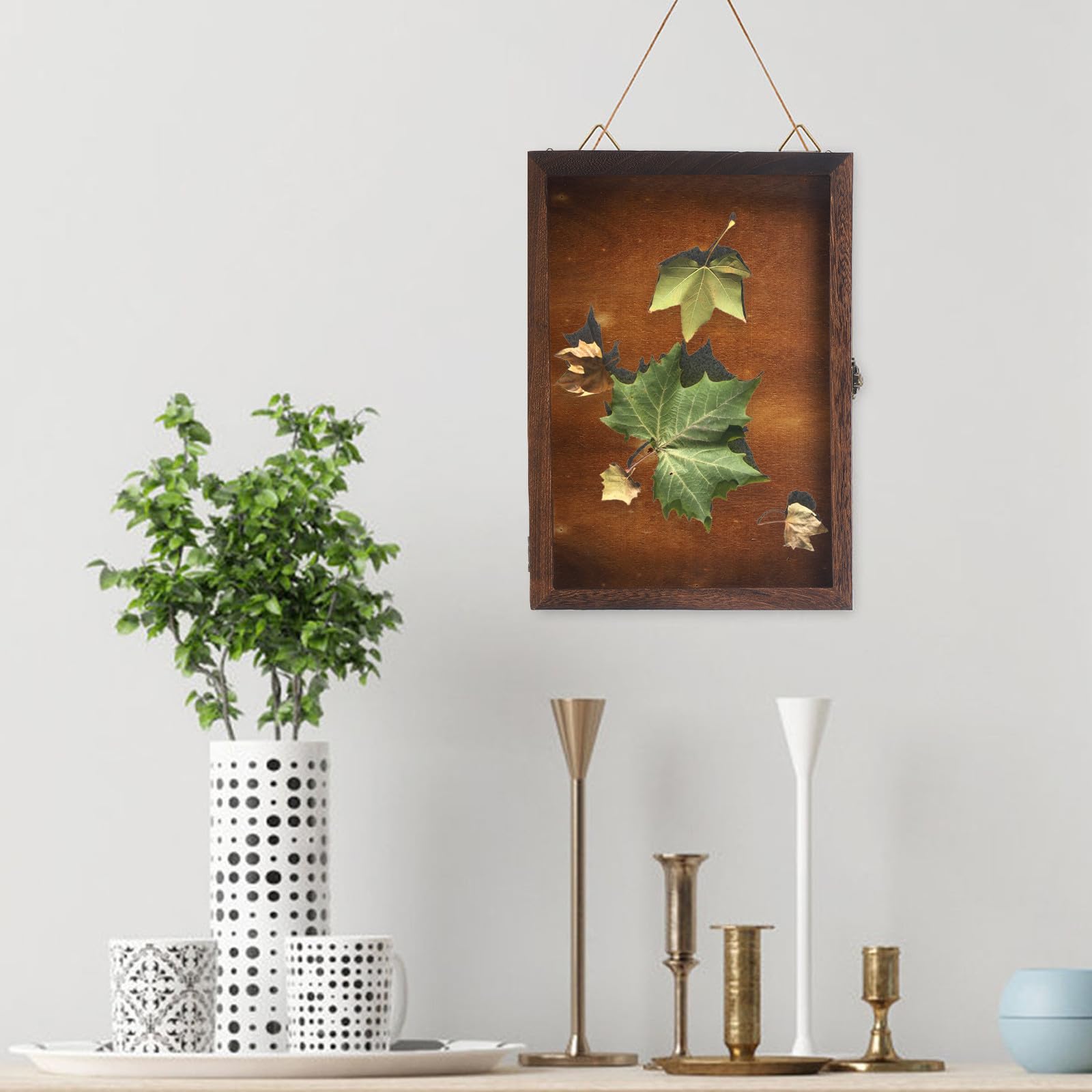 Scatola Espositiva per Farfalle e Insetti Design Retrò e Coperchio Trasparente, Custodia per Collezioni di Gioielli e Fiori Secchi, per Appassionati di Collezionismo