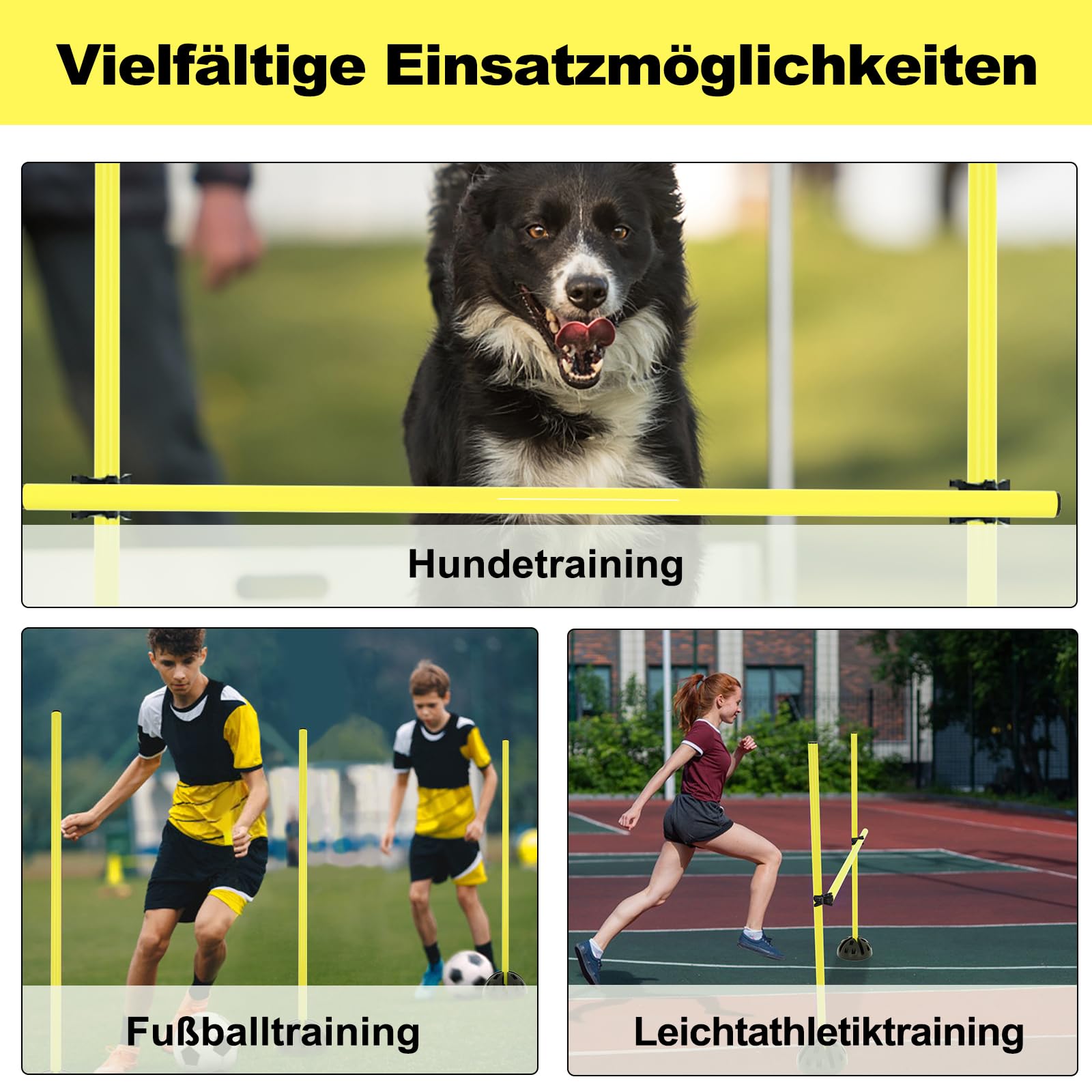 YRHome Agility Set Ausrüstungs für Hunde, Hindernisse Hunde Training YRHome Agility Set Ausrüstungs für Hunde, Hindernisse Hunde Training