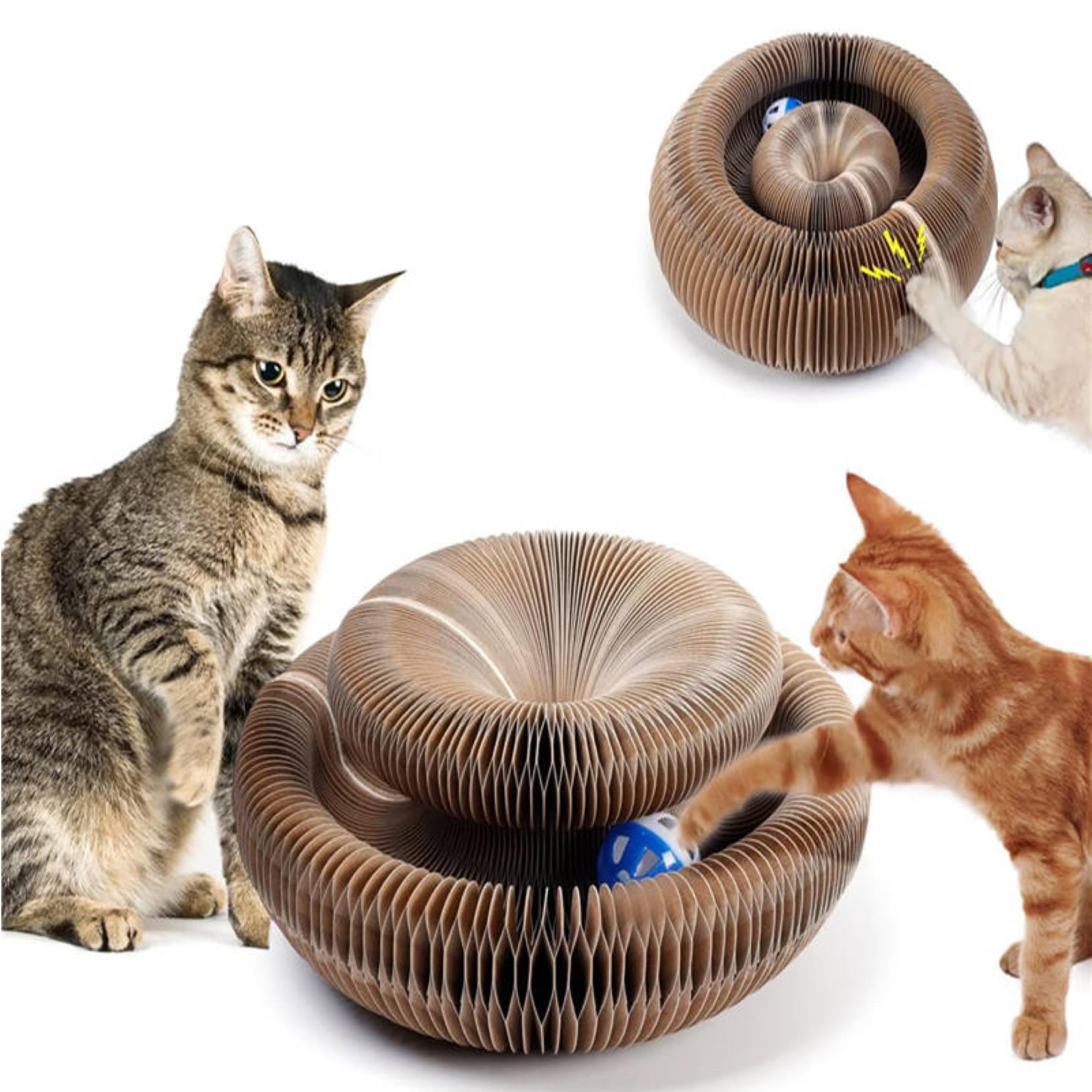 Magic Organ Cat Cordian with Ball - Accordion para Gatos - Cat Toy for Use in and Outdoor- Cat Scratch Board - Slinky Cat Scratching Toy -Magic Cat Ball-Cat Toy Scratcher Ball